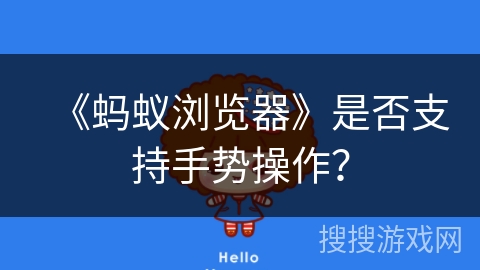 《蚂蚁浏览器》是否支持手势操作？