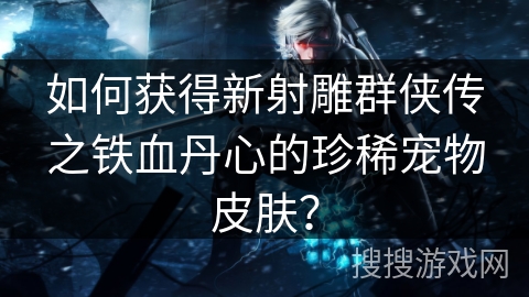 如何获得新射雕群侠传之铁血丹心的珍稀宠物皮肤？