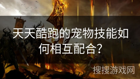 天天酷跑的宠物技能如何相互配合？