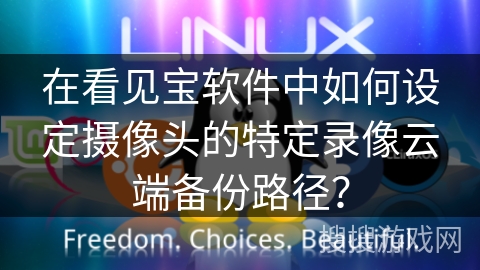 在看见宝软件中如何设定摄像头的特定录像云端备份路径？