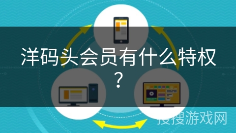 洋码头会员有什么特权？