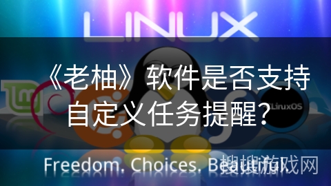 《老柚》软件是否支持自定义任务提醒？