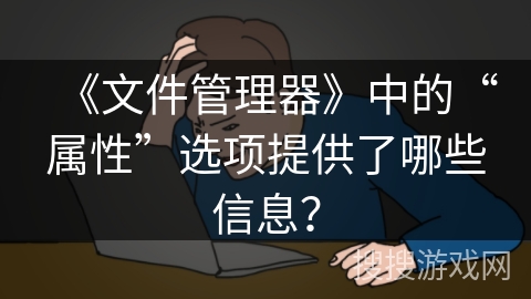 《文件管理器》中的“属性”选项提供了哪些信息？