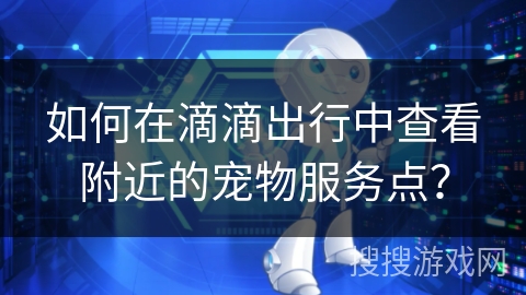 如何在滴滴出行中查看附近的宠物服务点？