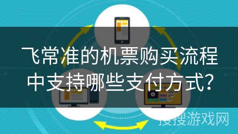 飞常准的机票购买流程中支持哪些支付方式？