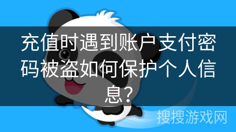 充值时遇到账户支付密码被盗如何保护个人信息？