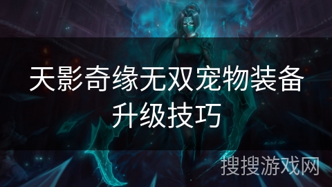 天影奇缘无双宠物装备升级技巧