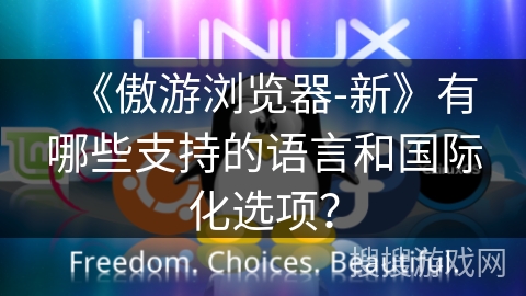 《傲游浏览器-新》有哪些支持的语言和国际化选项？