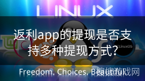 返利app的提现是否支持多种提现方式？
