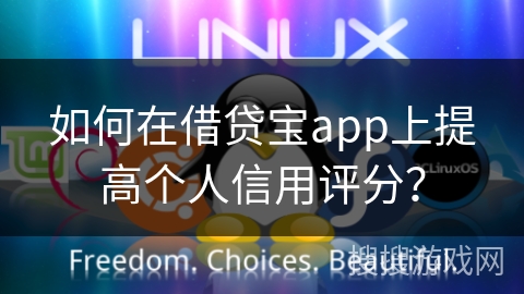 如何在借贷宝app上提高个人信用评分？