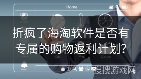 折疯了海淘软件是否有专属的购物返利计划？