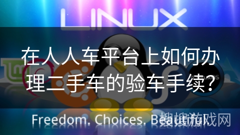 在人人车平台上如何办理二手车的验车手续？