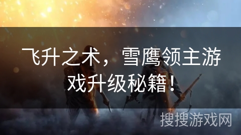 飞升之术，雪鹰领主游戏升级秘籍！