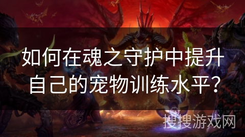 如何在魂之守护中提升自己的宠物训练水平? 如何在魂之守护中提升自己的宠物训练水平?
