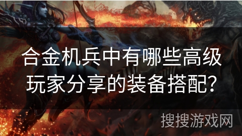 合金机兵中有哪些高级玩家分享的装备搭配？