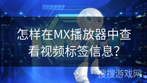 怎样在MX播放器中查看视频标签信息？