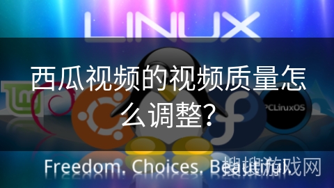 西瓜视频的视频质量怎么调整？
