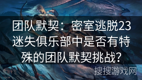 团队默契:密室逃脱23迷失俱乐部中是否有特殊的团队默契挑战? 团队默契:密室逃脱23迷失俱乐部中是否有特殊的团队默契挑战?