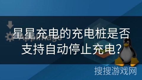星星充电的充电桩是否支持自动停止充电？