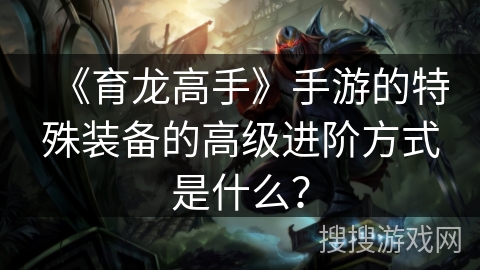 《育龙高手》手游的特殊装备的高级进阶方式是什么？