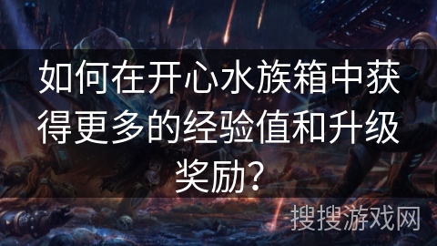 如何在开心水族箱中获得更多的经验值和升级奖励？