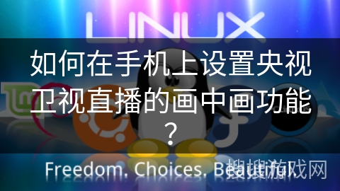 如何在手机上设置央视卫视直播的画中画功能？