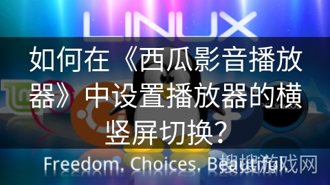 如何在《西瓜影音播放器》中设置播放器的横竖屏切换？