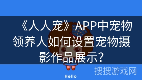 《人人宠》APP中宠物领养人如何设置宠物摄影作品展示？