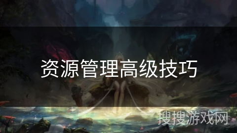 资源管理高级技巧