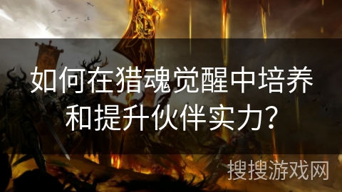 如何在猎魂觉醒中培养和提升伙伴实力？