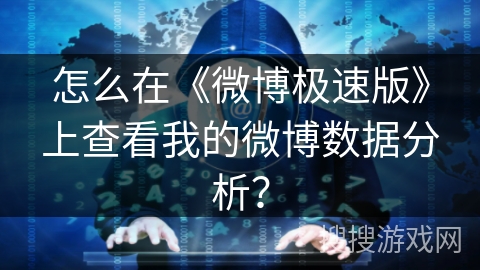 怎么在《微博极速版》上查看我的微博数据分析？