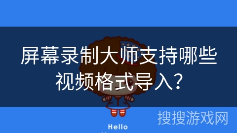 屏幕录制大师支持哪些视频格式导入？