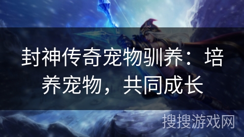封神传奇宠物驯养：培养宠物，共同成长