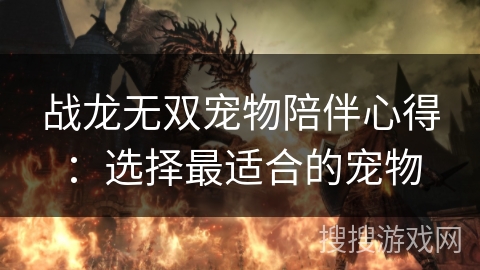 战龙无双宠物陪伴心得：选择最适合的宠物