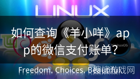 如何查询《羊小咩》app的微信支付账单？