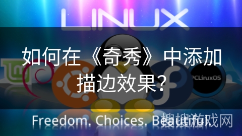 如何在《奇秀》中添加描边效果？
