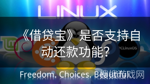 《借贷宝》是否支持自动还款功能? 《借贷宝》是否支持自动还款功能?
