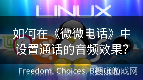 如何在《微微电话》中设置通话的音频效果? 如何在《微微电话》中设置通话的音频效果?