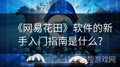 《网易花田》软件的新手入门指南是什么？