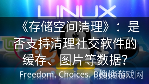 《存储空间清理》：是否支持清理社交软件的缓存、图片等数据？