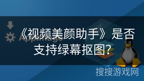 《视频美颜助手》是否支持绿幕抠图？