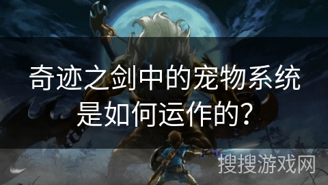 奇迹之剑中的宠物系统是如何运作的？