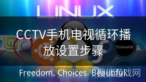 CCTV手机电视循环播放设置步骤