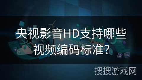 央视影音HD支持哪些视频编码标准？