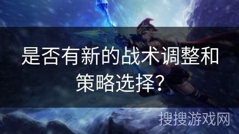 是否有新的战术调整和策略选择？