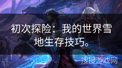 初次探险：我的世界雪地生存技巧。