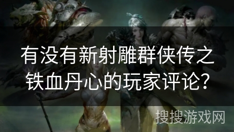 有没有新射雕群侠传之铁血丹心的玩家评论？