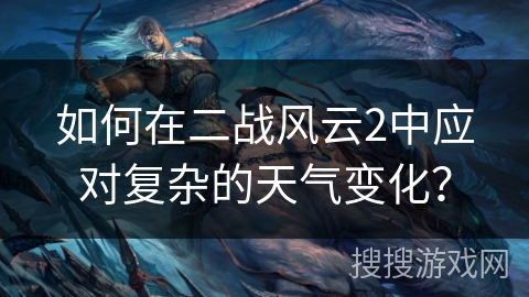 如何在二战风云2中应对复杂的天气变化？