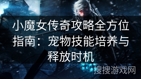 小魔女传奇攻略全方位指南：宠物技能培养与释放时机