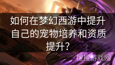 如何在梦幻西游中提升自己的宠物培养和资质提升？